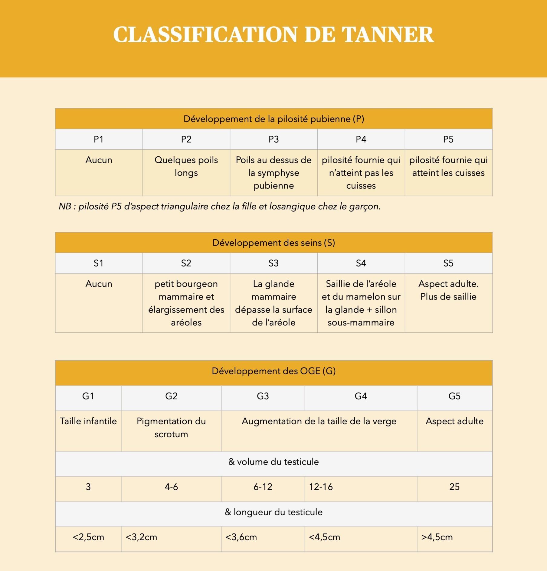 Classification de Tanner - NPEM